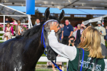 250823-Race 7-Silver Sword-1136