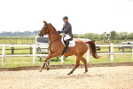 SBM_007865