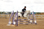 SBM_004599
