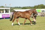 SBM_10484