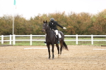 SBM_001934