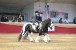 SBM_14955