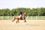 SBM_002777