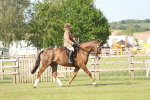 SBM_10240