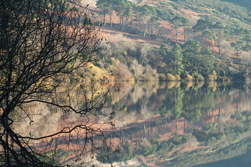 A lovely tranquil November afternoon at West Baldwin reservoir.