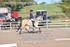 BPP_8094
