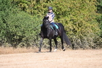 WJ6_7327