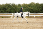 SBM_001553