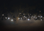 Wimpole lights 2021-54-Edit-2