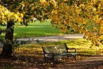 Autumn Seat by Dawlish Brook in South Devon
