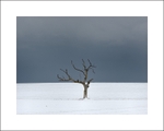 'Isolation'