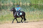 WJ7_8010