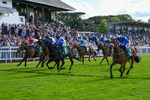 310526-Race 3-Al Hussar-8591