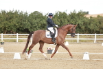 SBM_009439