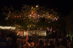 Bequia Christmas Lights_GRW_4204