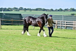 SBM_10017