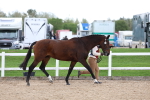 SBM_05021