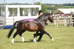 SBM_09103