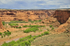 Canyon-5