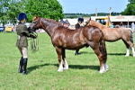 SBM_08049