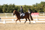 SBM_007049