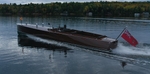 DUV07446