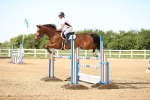 SBM_002982