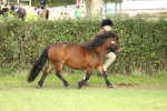 SBM_68538