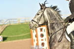 240409A-DSC_9766-02328