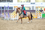 SBM_001365