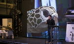 Rob Pilley (Spy in the Pod) Whalefest 2014 REF SIP3