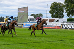 Race 1 14.10pm goracing.co.uk Future Stars Apprentice Classified Stakes portfolio