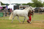 SBM_04280