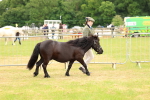 SBM_04324