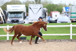 SBM_05851