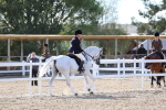 SBM_16838