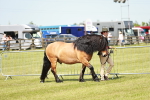 SBM_02476