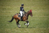 BVHT 140517  IXC -11