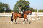 SBM_02175