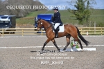 BPP_8690