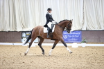 SBM_016237