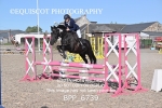 BPP_6739