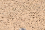 240509A-122849-01770