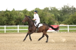 SBM_001657