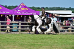 SBM_19375