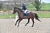 BPP_1033