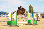 SBM_007271