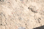 240608A-120123-00785