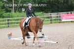 BPP_9339