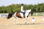 SBM_010135